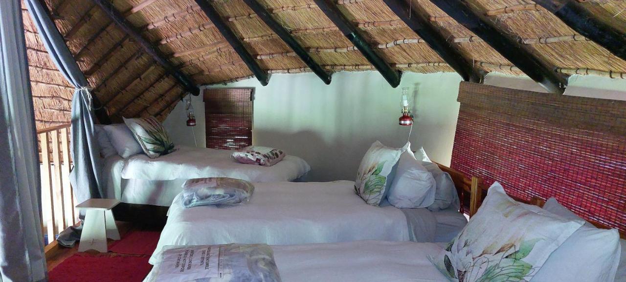 Blackbrook Farm Underberg Ngoại thất bức ảnh