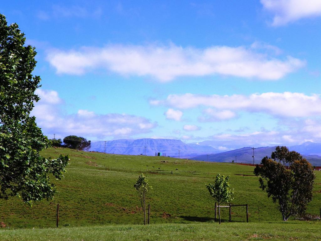 Blackbrook Farm Underberg Ngoại thất bức ảnh