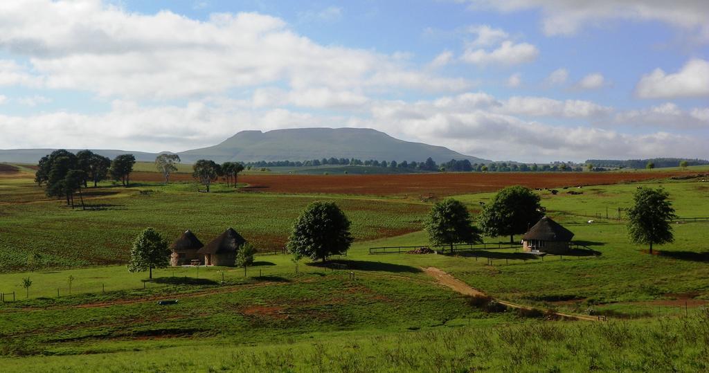 Blackbrook Farm Underberg Ngoại thất bức ảnh